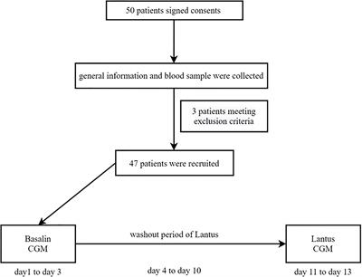 Evaluating Glycemic Control During Basalin or Lantus Administration in Adults With Controlled Type 2 Diabetes Mellitus Using Continuous Glucose Monitoring